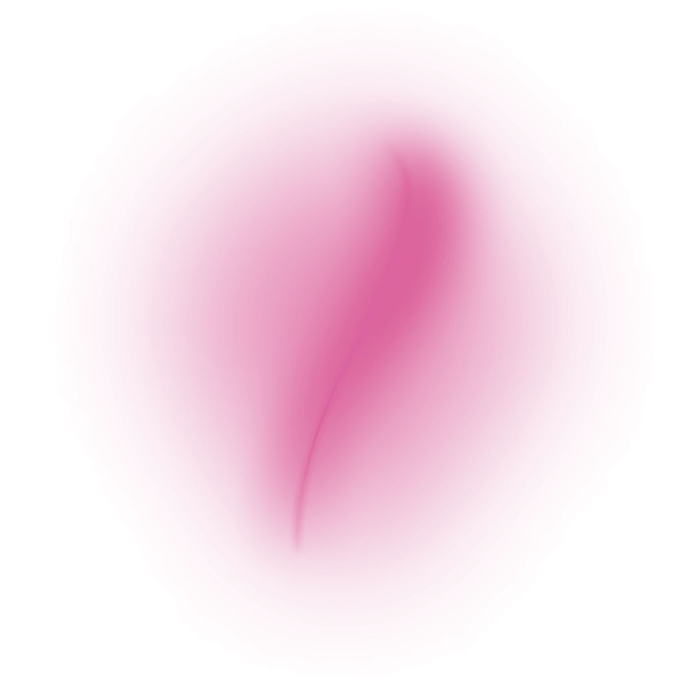 Project Pink Bloc